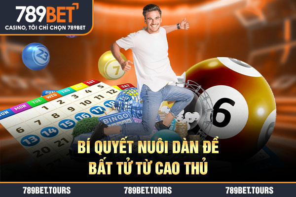 Bí quyết nuôi dàn đề bất tử từ cao thủ