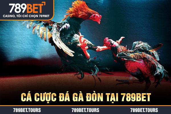 Cá cược đá gà đòn tại 789BET