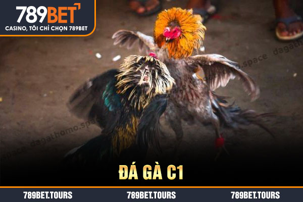 đá gà c1