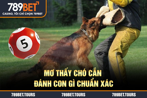 Mơ thấy chó cắn đánh con gì chuẩn xác