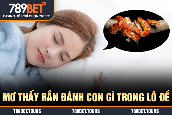 Mơ thấy rắn đánh con gì trong lô đề