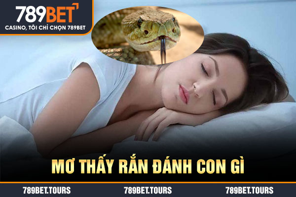 mơ thấy rắn đánh con gì