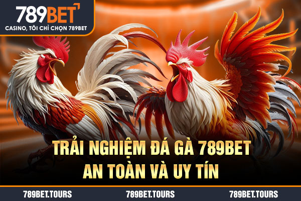 Trải nghiệm đá gà 789bet an toàn và uy tín